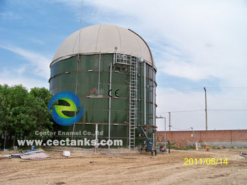 1 -4MW Biogas Power Plant EPC Turnkey BOT BTO Servizio di progetto con serbatoi di stoccaggio in vetro fuso in acciaio