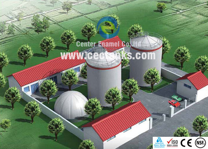 Impianto di biogas Digestore anaerobico Serbatoio di stoccaggio di biogas 0