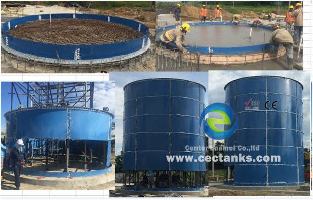 1 -4MW Biogas Power Plant EPC Turnkey BOT BTO Servizio di progetto con serbatoi di stoccaggio in vetro fuso in acciaio 0