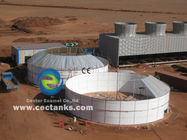 EPC USR/CSTR Biogas Anaerobic Fermentation Biogas Storage Tank Waste to Energy Project Plant (impianto di trasformazione dei rifiuti in energia)
