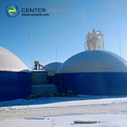 Convertendo spreco in piatti d'acciaio di progetto 12mm dell'impianto di biogas di energia