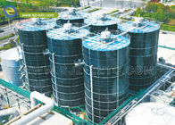 Progetto di impianto di biogas in acciaio fuso in vetro per il progetto di lixiviazione delle discariche