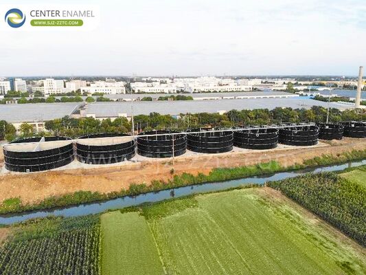 Tecnologia del biogas sostenibile per la Malesia Progetti di trattamento delle acque reflue delle fattorie suine