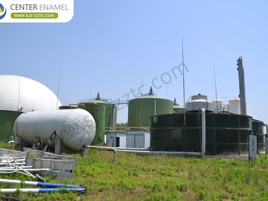 Principale appaltatore del progetto di biogas con processo CSTR per il trattamento del letame bovino in Sudafrica