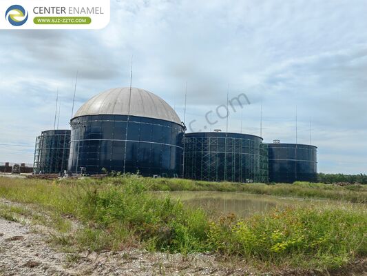 Leading GFS Tanks and Biogas Power Plant for Solid Waste to Biogas in Vietnam