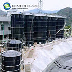 Serbatoio di stoccaggio di biogas per aziende agricole con capacità personalizzata per il progetto di biogas