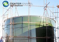 Reattori cisterna a scorrere continua di vetro fuso in acciaio CSTR per impianti industriali di biogas