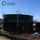 Progetto di biogas dei rifiuti delle fattorie bovine