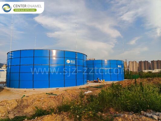 Rivoluzionare la gestione dei rifiuti di pollame: serbatoi GFS e soluzioni avanzate di biogas in Sud Africa