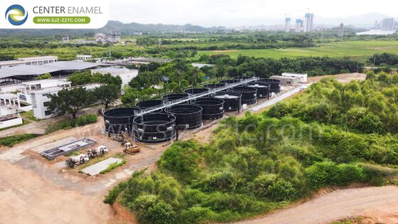 Soluzioni anaerobiche avanzate: serbatoi GFS e tetti a doppia membrana per il trattamento del POME in Ecuador