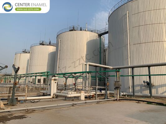 Appaltatore per progetto di biogas con processo CSTR per il trattamento del letame bovino in Egitto