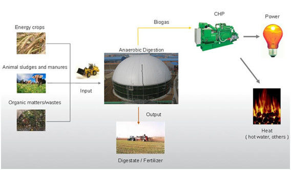 Serbatoio di immagazzinamento di biogas Superiore EPC fornitore chiavi in mano per l'energia a biogas di scarto Sistema completo 1