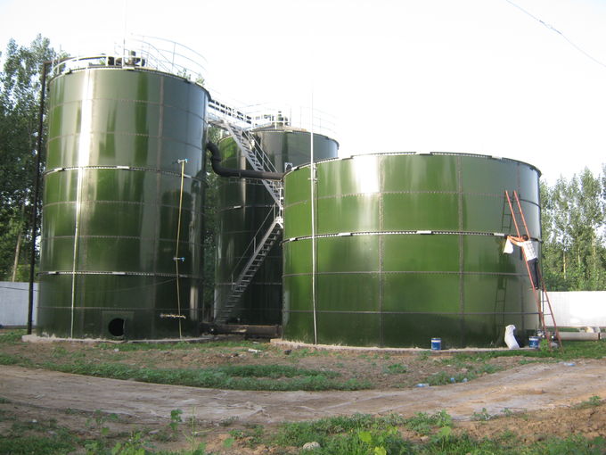Equipaggiamento di impianti di biogas Serbatoio di stoccaggio di biogas oltre 30 anni dalla Cina 0